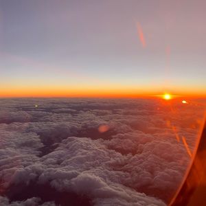 Meet your Posher, Lulu